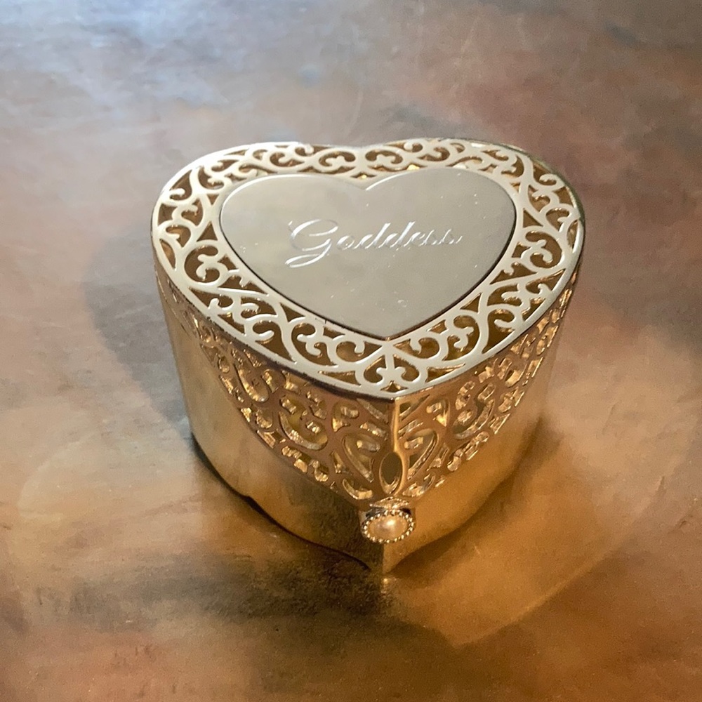 Beautiful silver jewelry box
